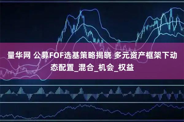 量华网 公募FOF选基策略揭晓 多元资产框架下动态配置_混合_机会_权益
